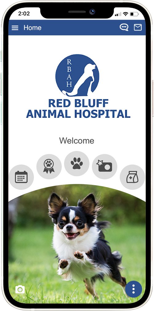 Red Bluff Animal Hospital