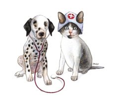 Your Pals Pet Hospital