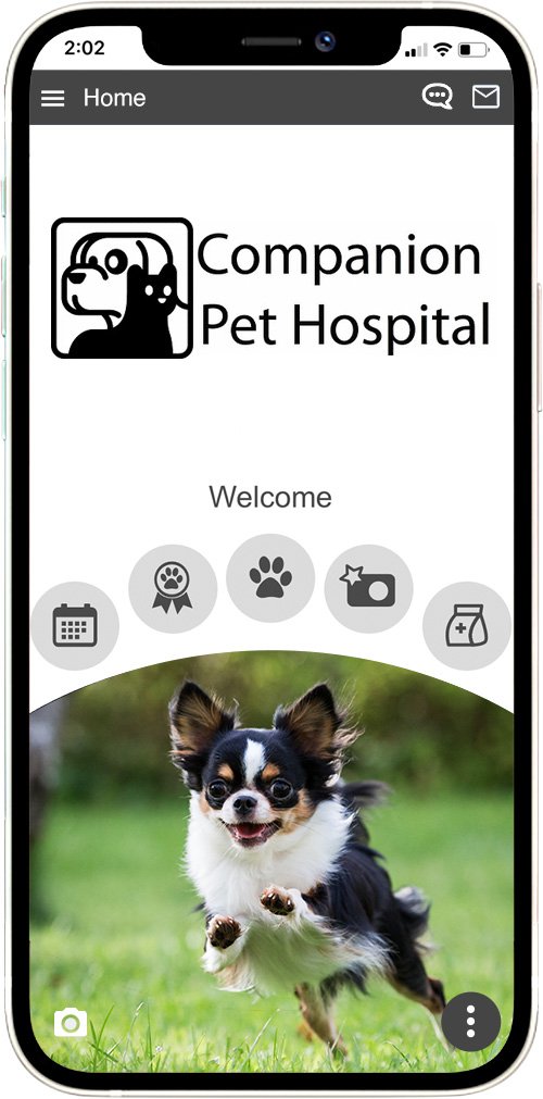 Companion Pet Hospital
