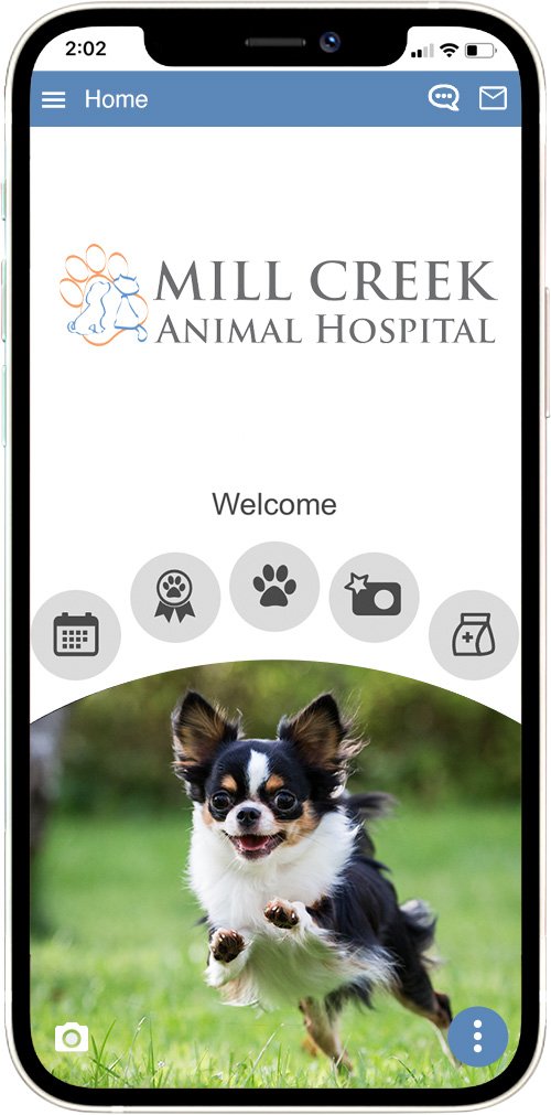 Mill Creek Animal Hospital