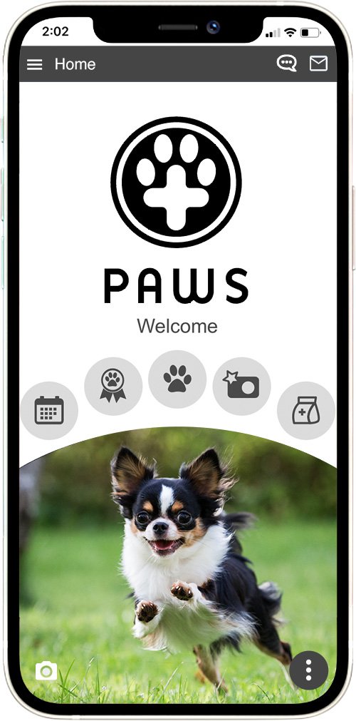 Palouse Animal Wellness