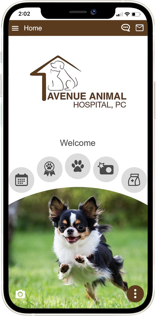 Avenue Animal Hospital