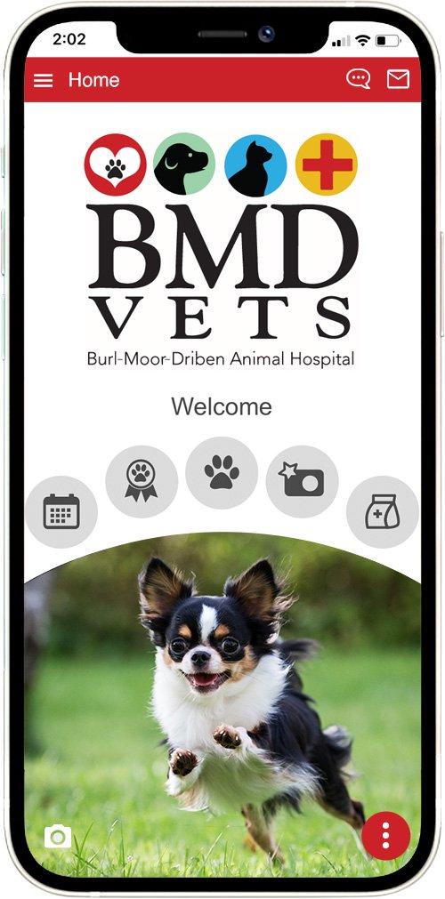 Burl-Moor-Driben Animal Hospital