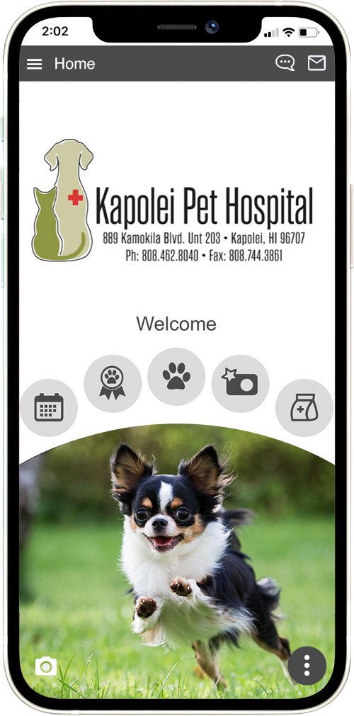 Kapolei Pet Hospital