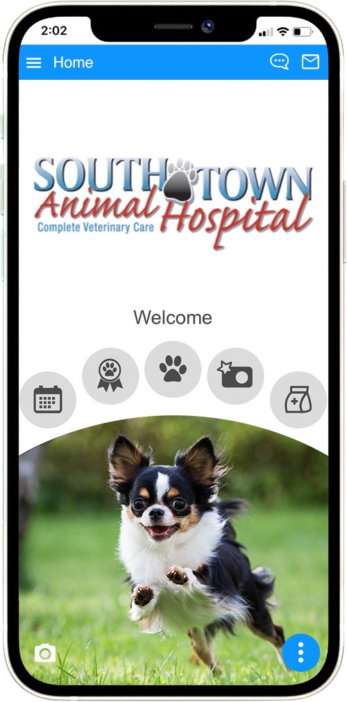 South Town Animal Hospital