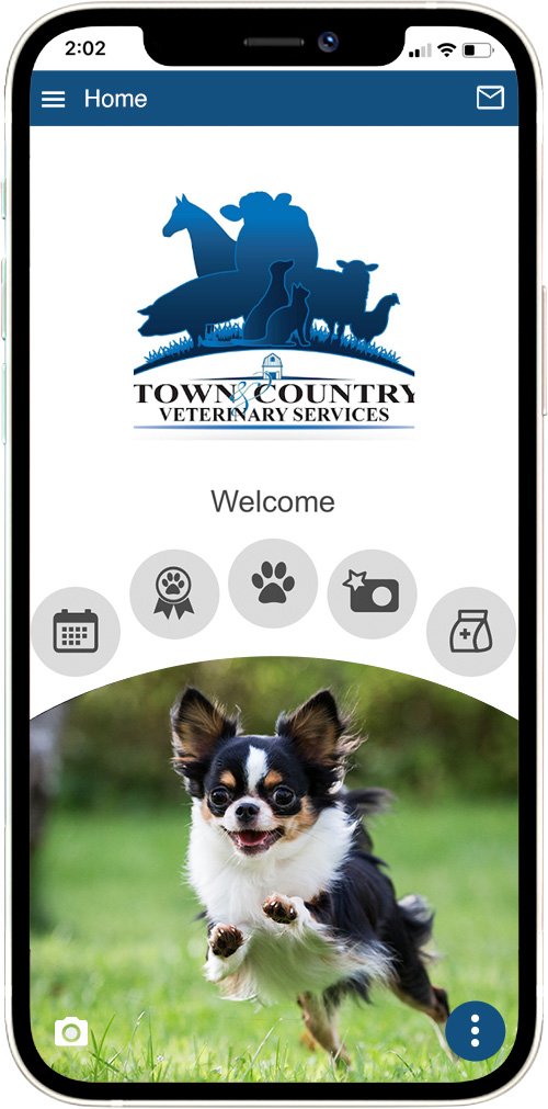 Town and Country Veterinary Svcs