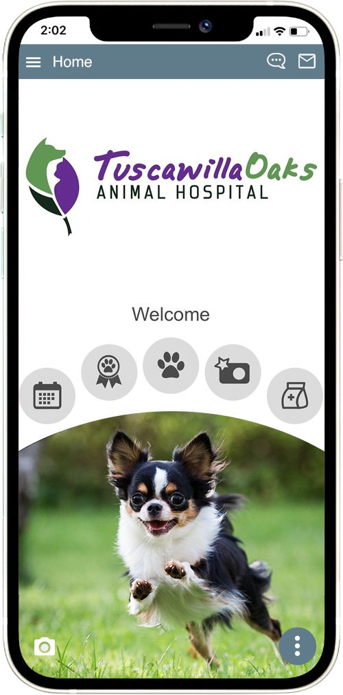 Tuscawilla Oaks Animal Hospital
