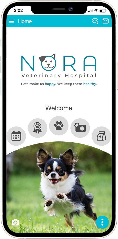 Nora Veterinary Hospital