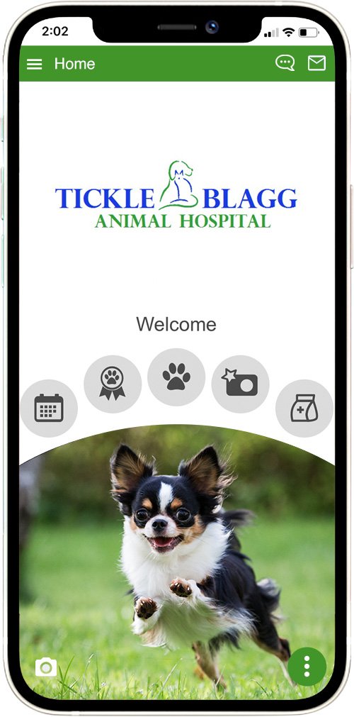 Tickle Blagg Animal Hospital