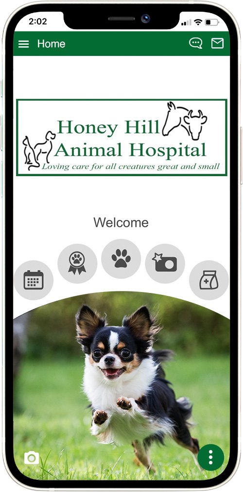 Honey Hill Animal Hospital