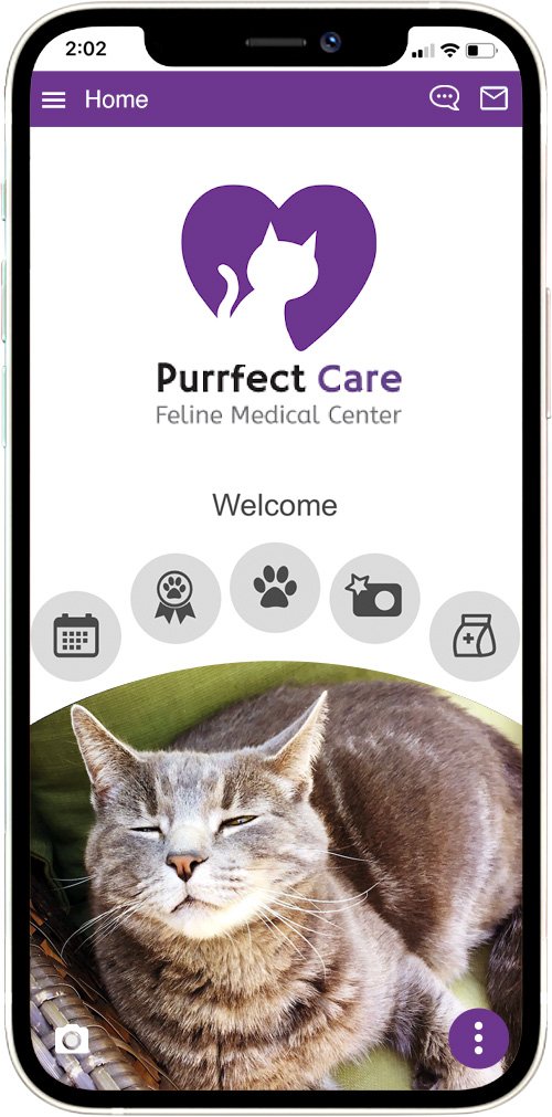 Purrfect Care Feline