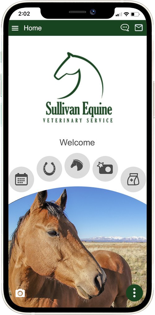Sullivan Equine Veterinary Services