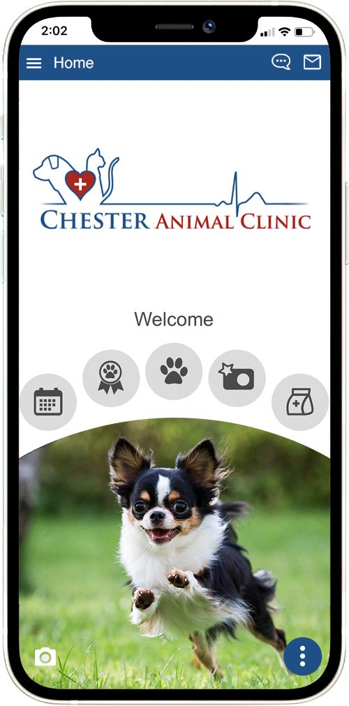 Chester Animal Clinic