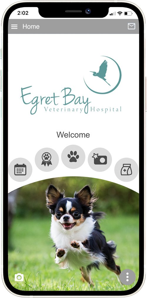 Egret Bay