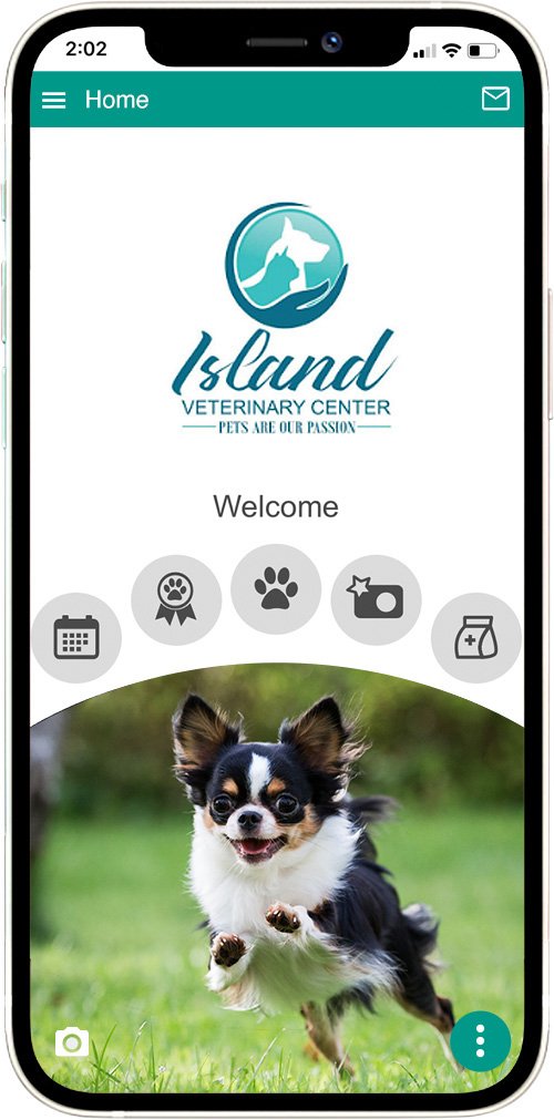 Island Vet