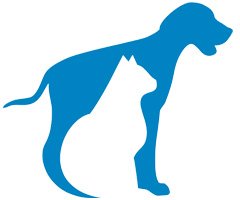 Washington Vet Hospital
