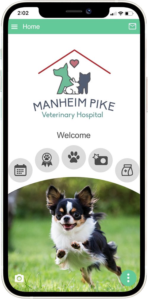 Manheim Pike