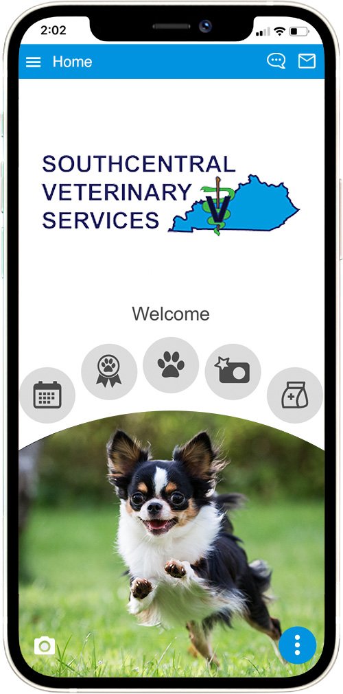 southcentral vet