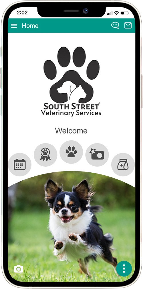 South Street Vet