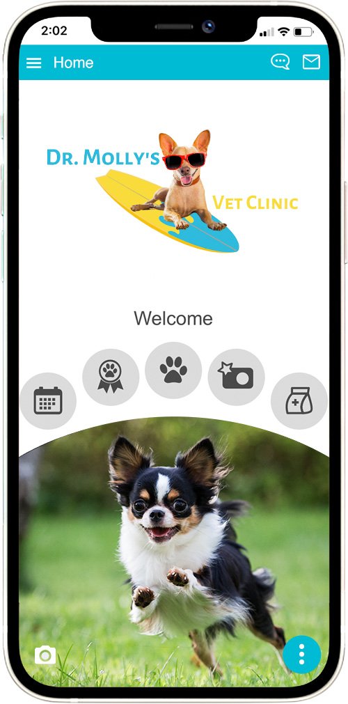Dr. Molly's Vet