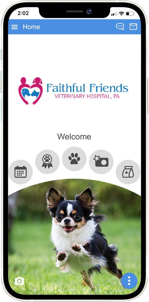 Faithful Friends