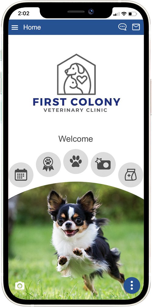 First Colony Vet