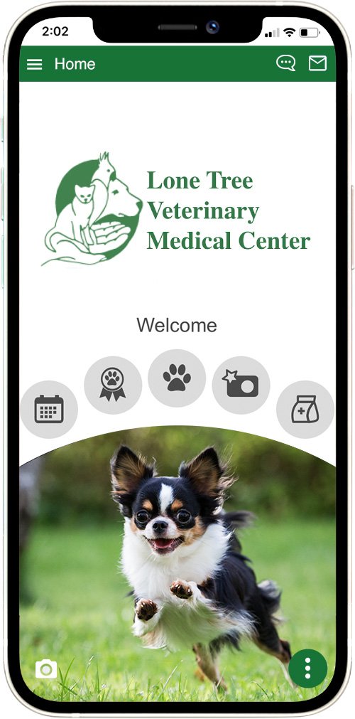 Lone Tree Vet