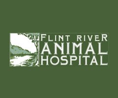 Flint River AH