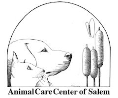 ACC of Salem