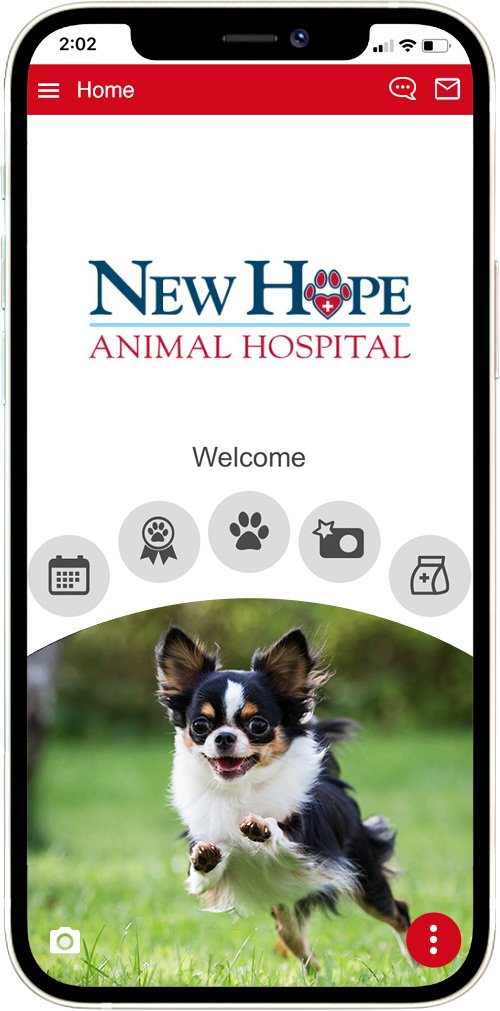 New Hope
