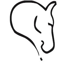 Piedmont Equine