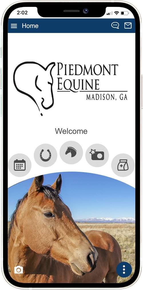 Piedmont Equine