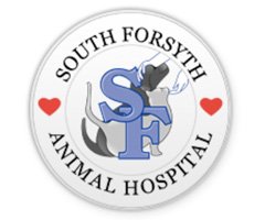 South Forsyth AH