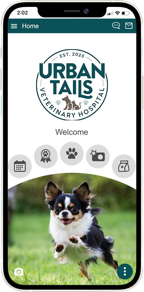 Urban Tails