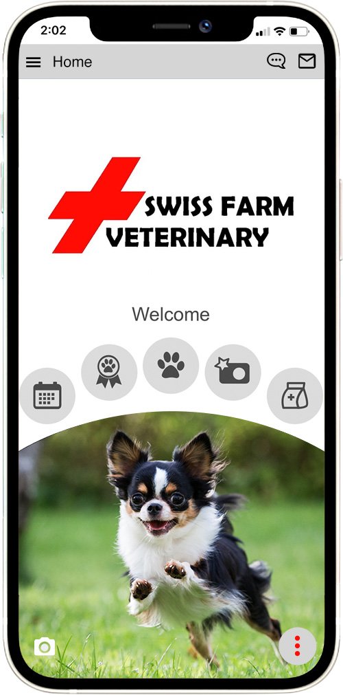 Swiss Farm