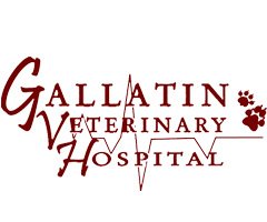 Gallatin Vet