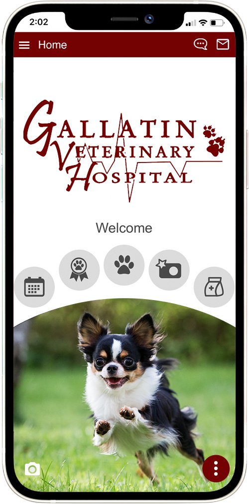 Gallatin Vet