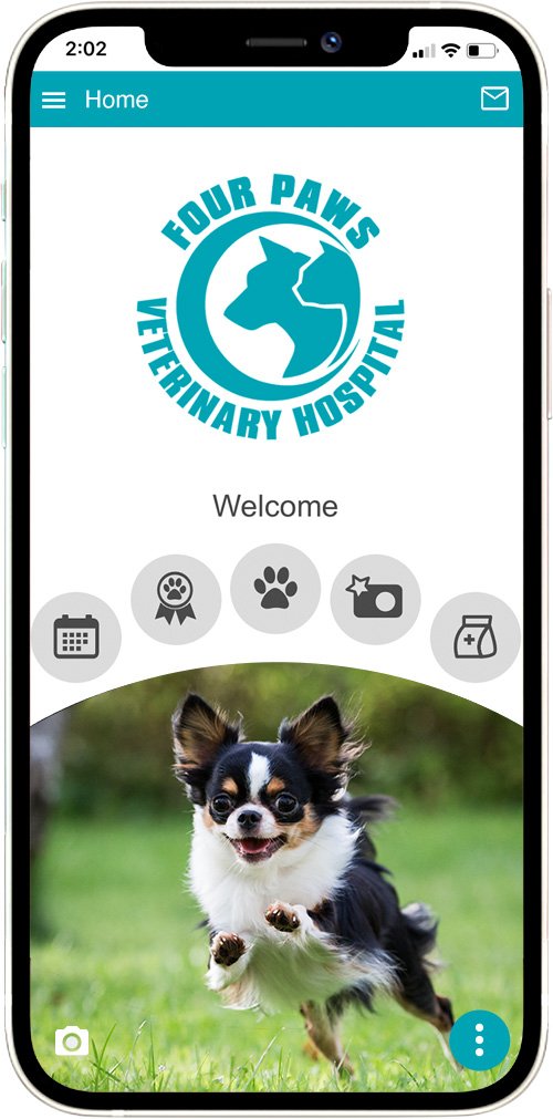 Four Paws Vet