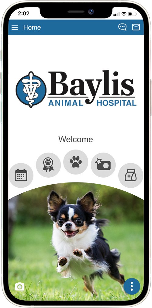 Baylis AH