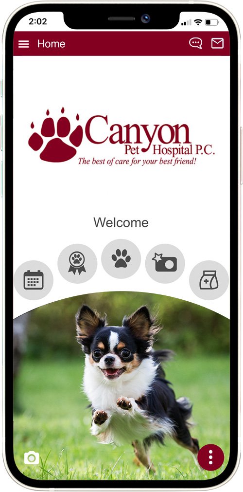 Canyon Pet