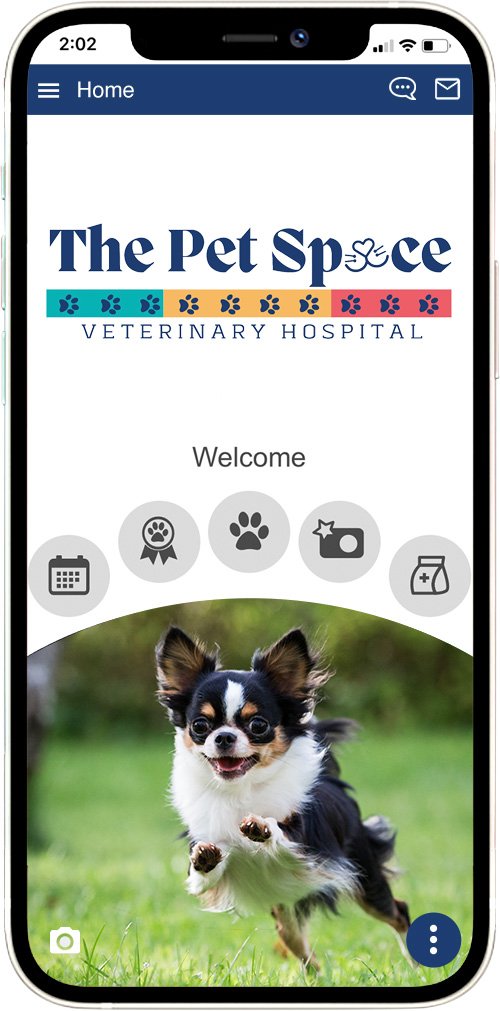 The Pet Space