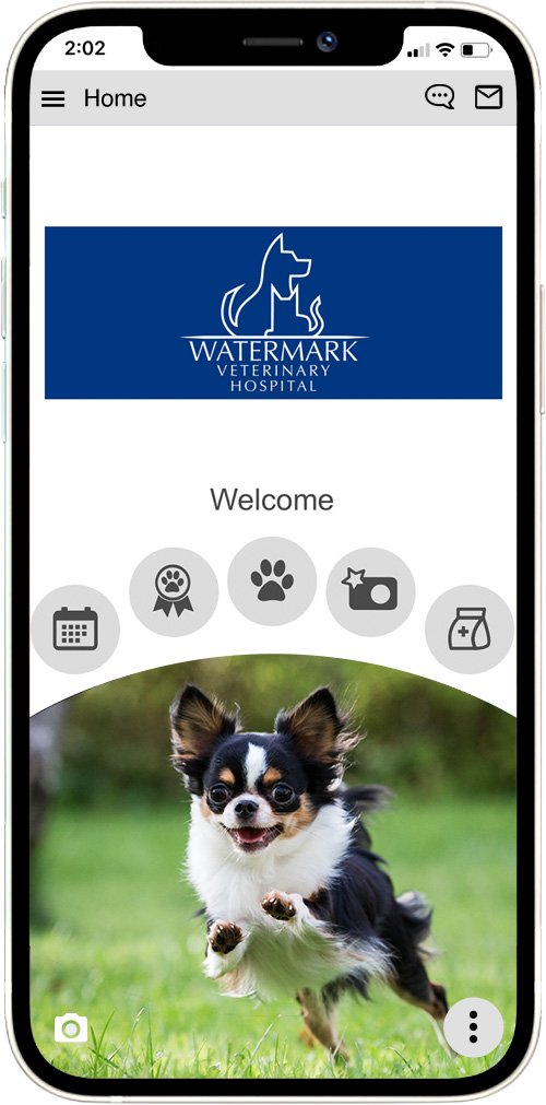 Watermark Vet