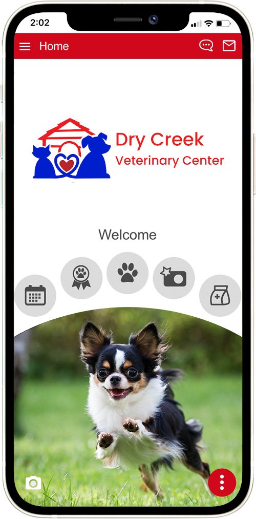 Dry Creek Vet
