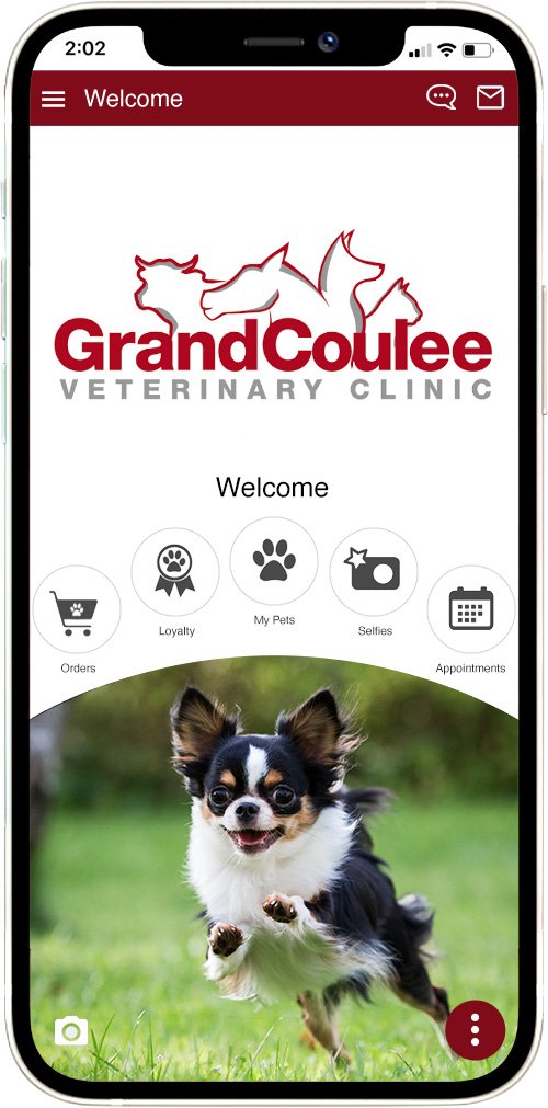 Grand Coulee Vet
