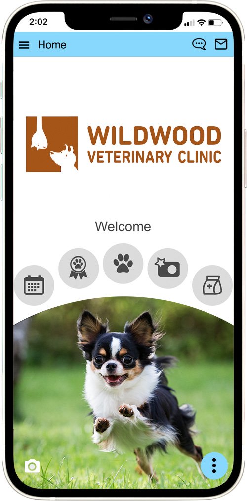 WIldwood Vet