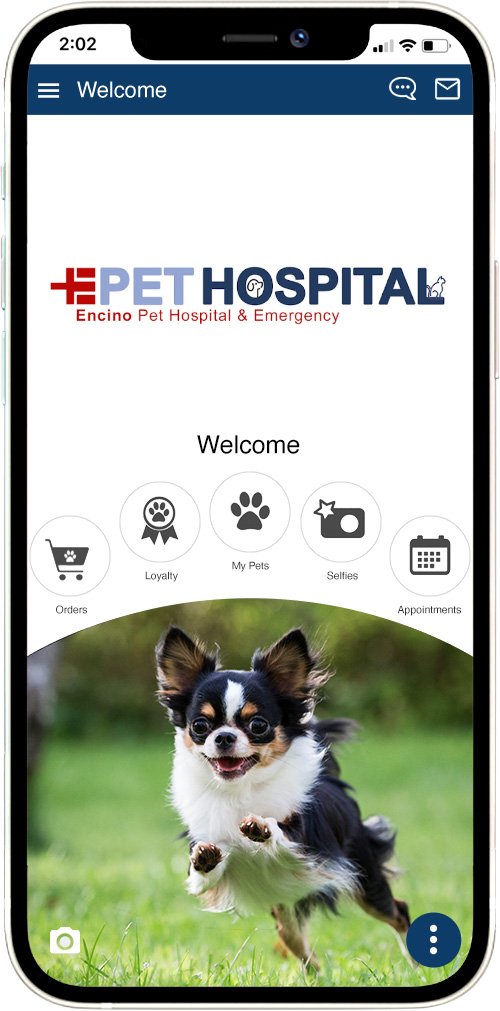 Encino Pet Hospital