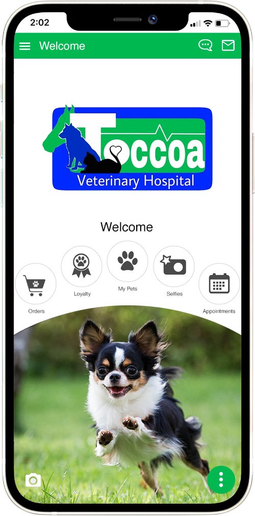 Toccoa Veterinary Hospital