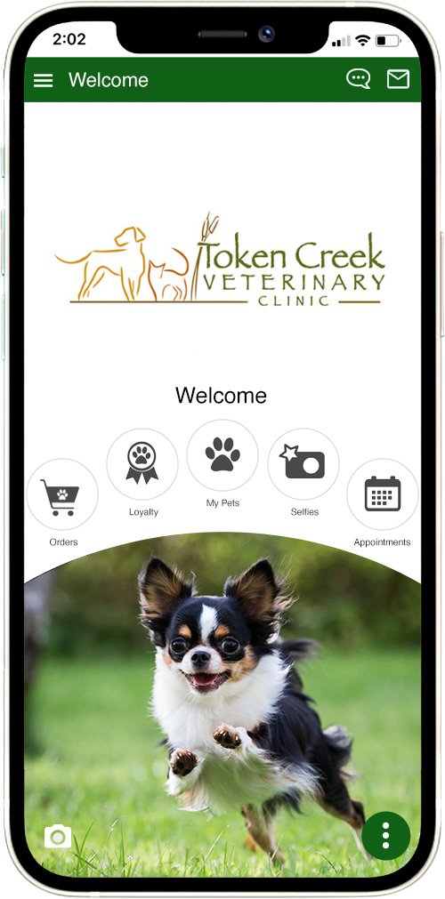 Token Creek Vet