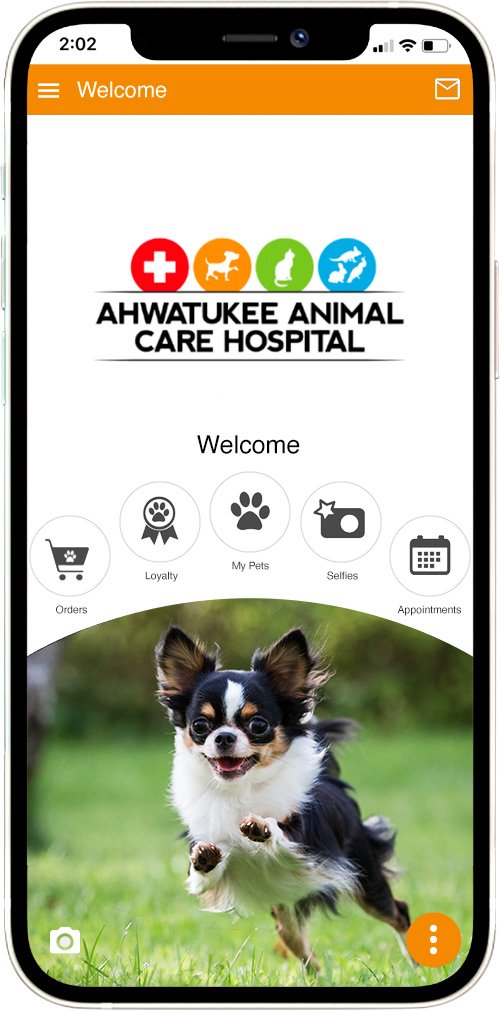 Ahwatukee Animal Care