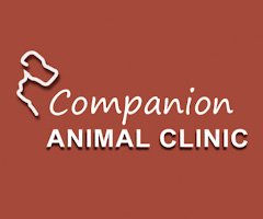 Companion AC Yakima